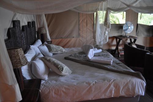 Shametu River Lodge Shametu River Lodge