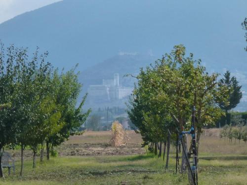 Campiglione Hotel - image 14