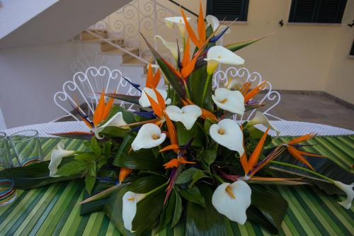 Casa Vacanze La Mattonara