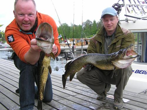 Oravi Villas - image 9