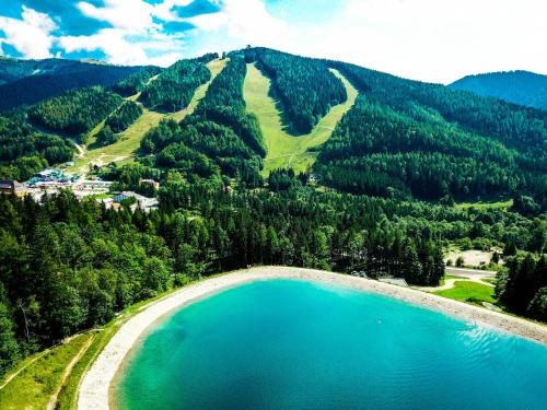 Weigl Hutte Semmering in Semmering