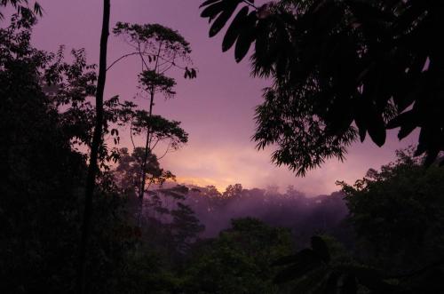 Amazonita Ecolodge Amazonita Ecolodge