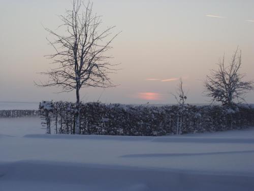 Hoeve de Binnenplaets - main image
