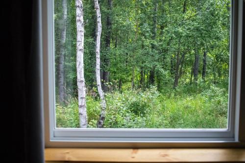 Talkeetna Wilderness - image 9