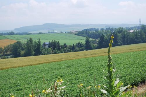 Auberge Ninguruforet