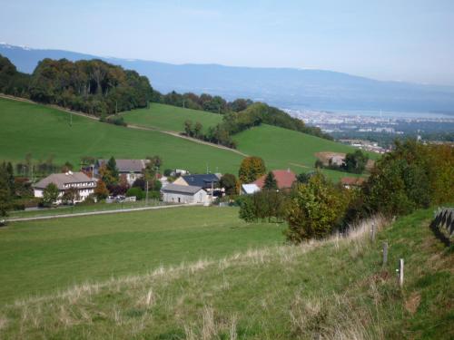 The Originals City, Hôtel Rey du Mont Sion, Saint-Julien-en-Genevois Sud (Inter-Hotel)