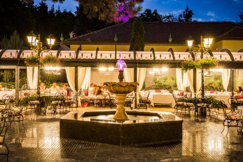 Spa Hotel Rich - image 9