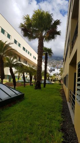  Anadia Village Flat in Funchal