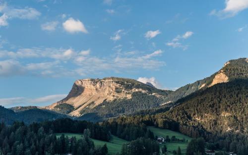 Alpenhotel Rainell - image 12
