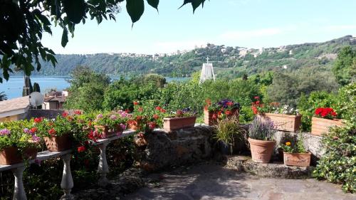 Bed&Breakfast Fiorella sul Lago - Accommodation - Castel Gandolfo