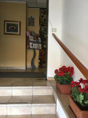 Hotel Dora – Turin, NY