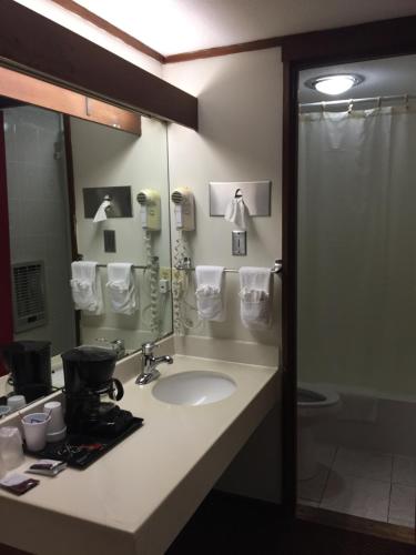 North King Motel - main image