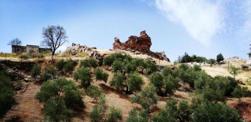 Casas Rurales Canserta - image 12