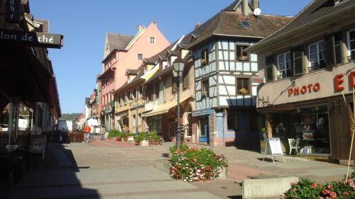 Maison Bleue - Apartment - Saverne