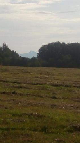 U Tří Koček - image 13