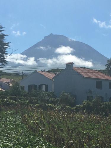  Home Pico - Casa dos Cedros (Alojamento local) in Criação Velha