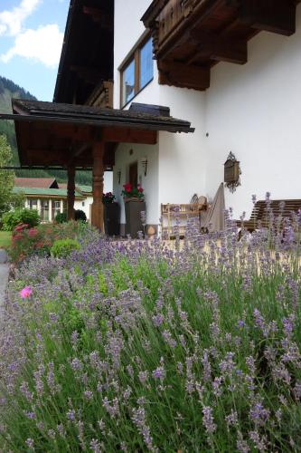 Ferienwohnungen Falger in Berwang