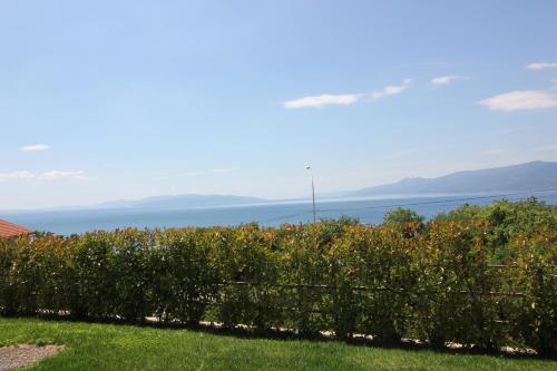 Studio apartment Miramare - image 5