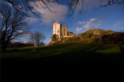 Roch Castle - image 11