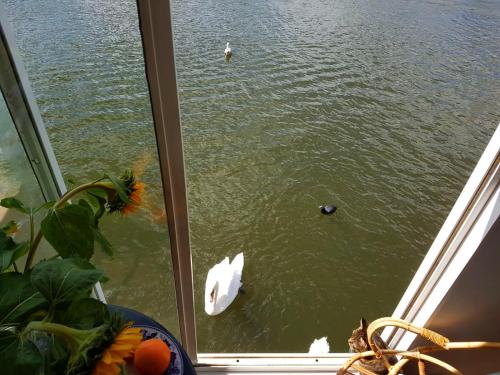 Houseboat Concordia B&B, Amsterdam (zdjęcie 9)