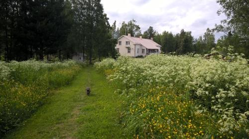 Tohninmäen Talo - image 6