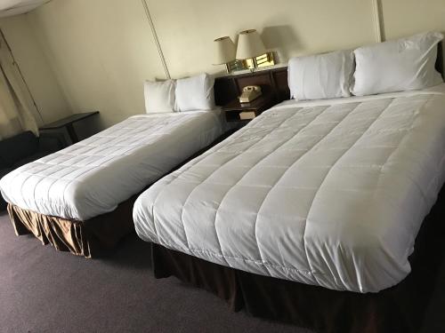 Blue Note Motor Inn 5