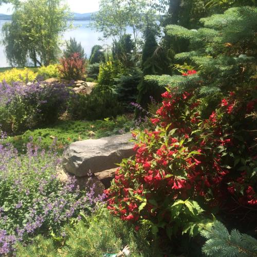 Acadia Ocean Front Garden Cottages thumb 2