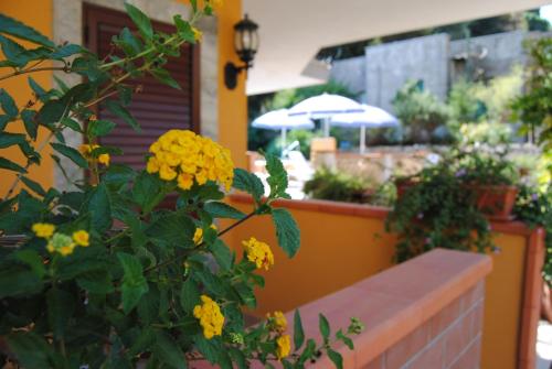 Residence Villa Il Glicine - image 7