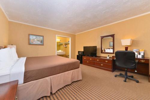 Executive Plus Inn and Suites - image 4