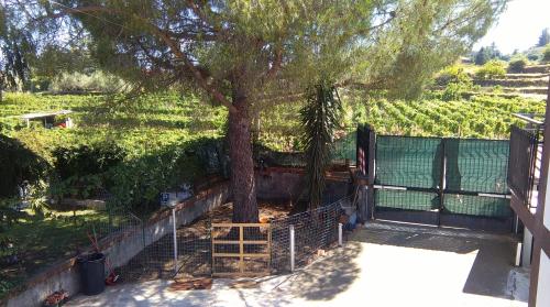 Casa vacanza Etna