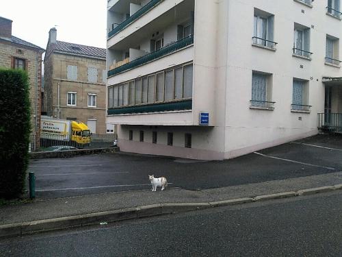 Bel appartement a vivre