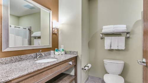 Holiday Inn Express & Suites Lubbock Southwest – Wolfforth, an IHG Hotel