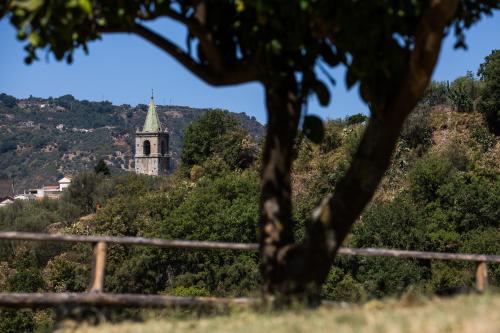 Agriturismo Il Sole - image 4