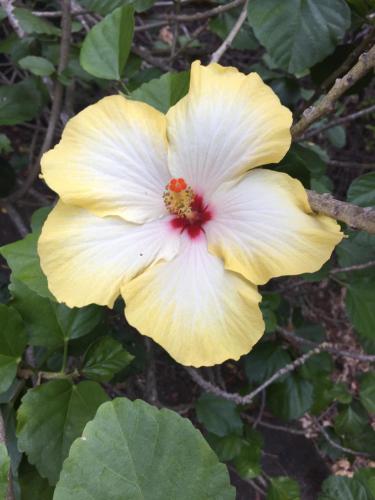 Casa Nonna Maria - image 12