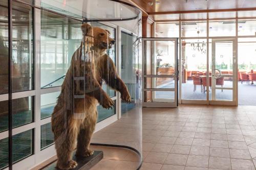 Hotel Jezero - image 6
