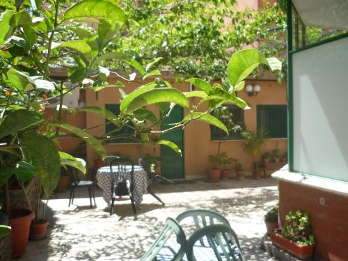 Hotel Carmel - image 13