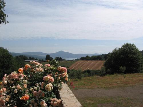 Agriturismo La Gismonda - image 3