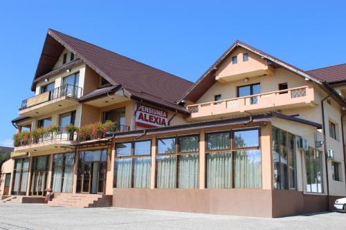 Pensiunea Alexia - main image
