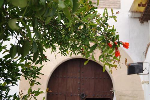  Casa de la Placeta del Rincón, Pension in Moclín bei Ribera Alta