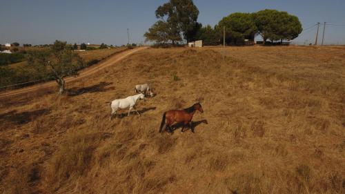  Quinta da Canastreira in Cercal