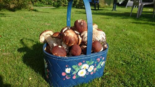 Attractions, Angsliden in Charlottenberg