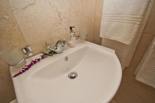 Beluga of Constantia Guest House Cape Town South Africa