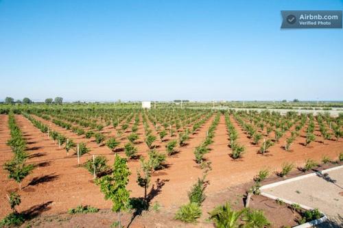 Agriturismo Biologico Sant'Andrea