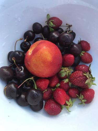 B&B Camelot - image 11