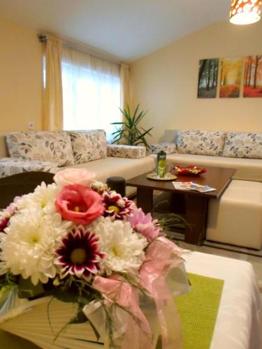 Apartment Mica Old Town - image 3
