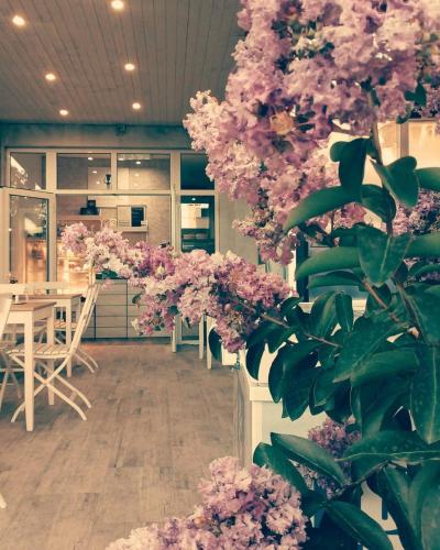 Dream House - image 7