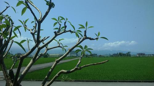 Surrounding environment, CountrySide B&B in Zhuangwei Township