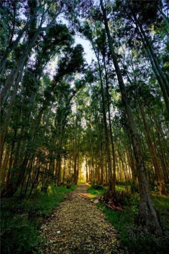 Hage, La Posta de la Laguna in La Paloma