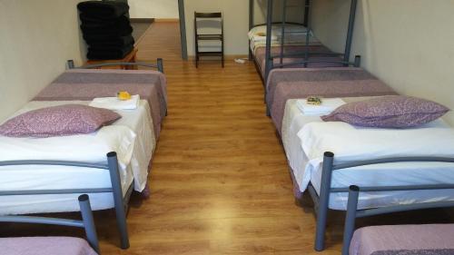 Alma del Camino - Rooms & Albergue - image 3