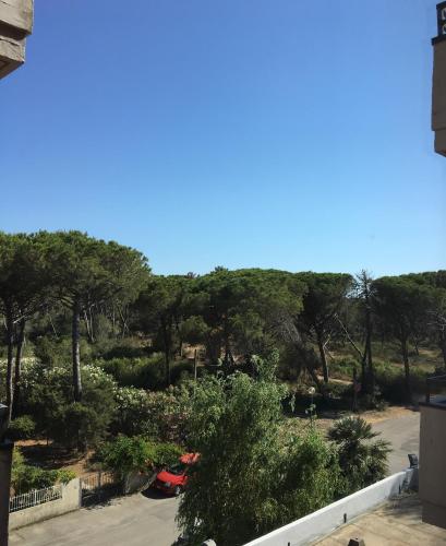 Hotel Grifone - image 11